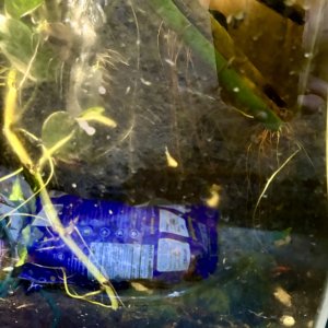 IMG_8272.jpeg