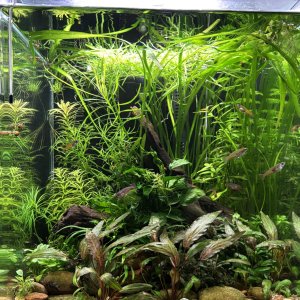 60l.jpg