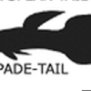 spadetail.png
