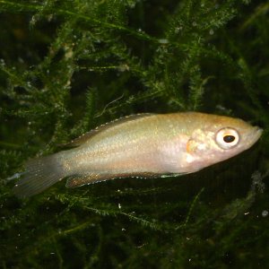 RSCN0075.JPG