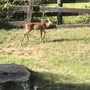 IMG_0848.jpeg