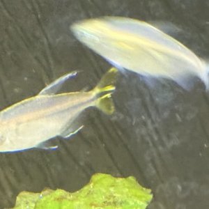 IMG_2392.jpeg