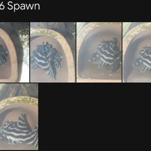 1755242897133.png