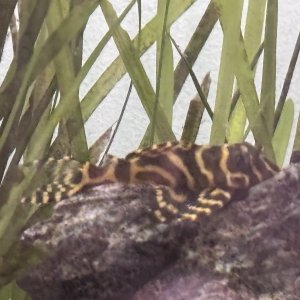 IMG_3841.jpeg