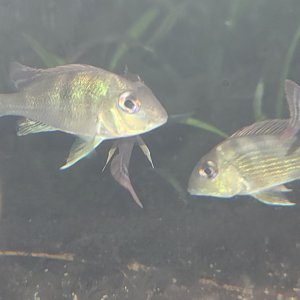 p2.jpg