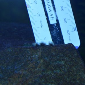 DF0_8820.JPG