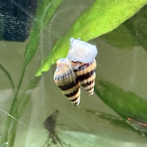 IMG_2479.jpeg