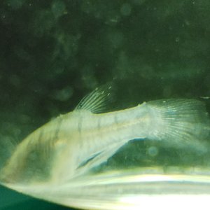 IMG_20250829_165829.jpg