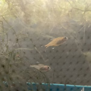 IMG_2126.jpg