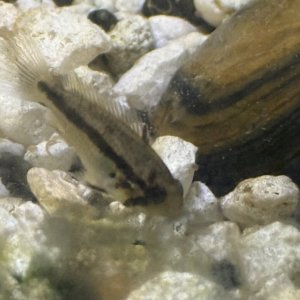 IMG_2669.jpeg