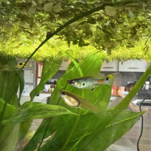 IMG_7055.jpeg