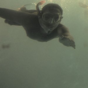 IMG_8231.jpg