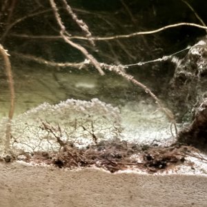 IMG_8488.jpeg
