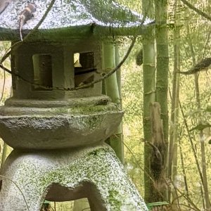 IMG_8516.jpeg