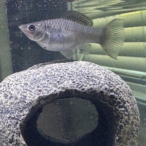 IMG_0366.jpeg