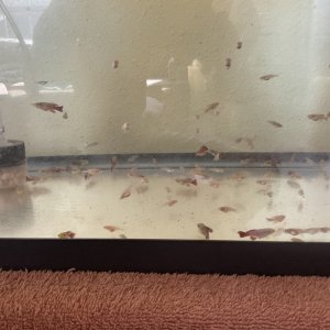 IMG_1860.jpeg