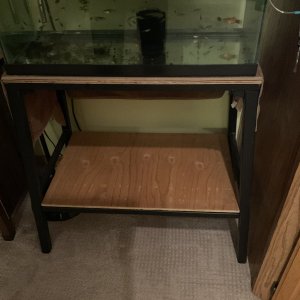 IMG_1861.jpeg