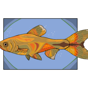 tetra art1.5.png