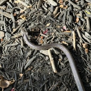 IMG_2873.jpeg
