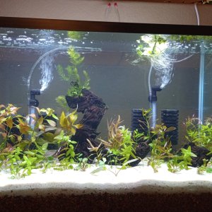10-23-2025, Day 1, picture 1.jpg