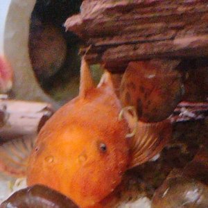 2025-10-26 13-14-24.jpg