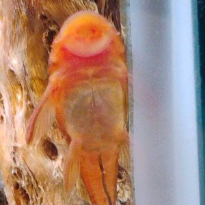 2025-10-26 13-19-14.jpg