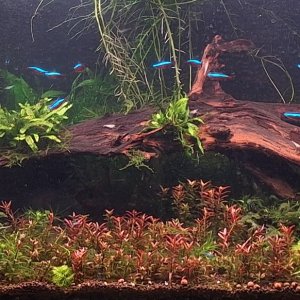 20251106_191446 (3).jpg