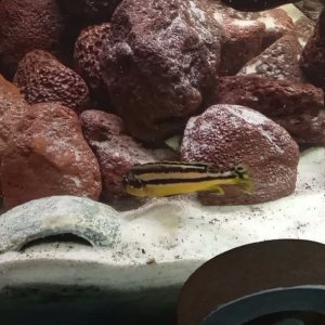 VID_20251108_133111503.mp4