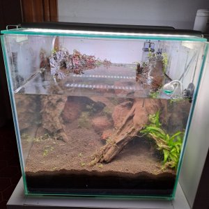 20250127_215458 (1).jpg