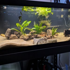 40gal24Nov25.jpg