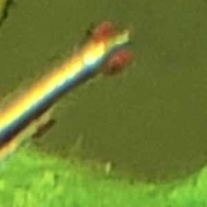 Screenshot 2025-12-01 at 3.43.36 PM.png