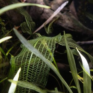 picture of the day-10.jpg