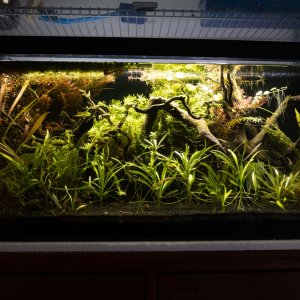 picture of the day-08.jpg