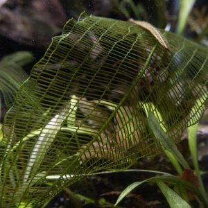 picture of the day-09.jpg