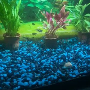 78915547283__B608FD0C-2653-4680-B420-6C942C1D3865.MOV