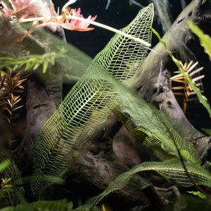 picture of the day-55.jpg