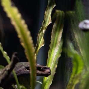 picture of the day-54.jpg