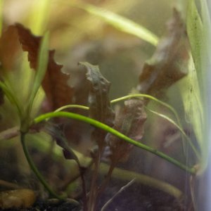 picture of the day-53.jpg