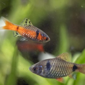 picture of the day-51.jpg