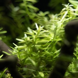 picture of the day-50.jpg