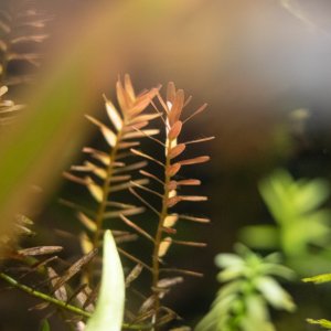 picture of the day-49.jpg