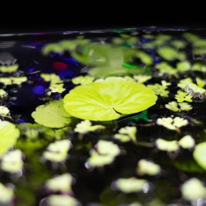 picture of the day-46.jpg