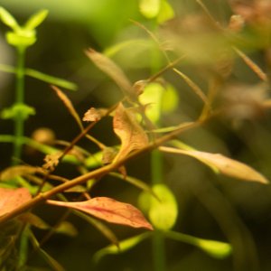 picture of the day-44.jpg