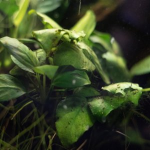 picture of the day-45.jpg