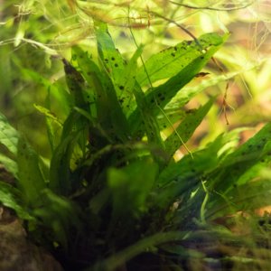 picture of the day-43.jpg