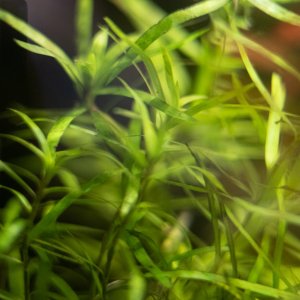 picture of the day-42.jpg