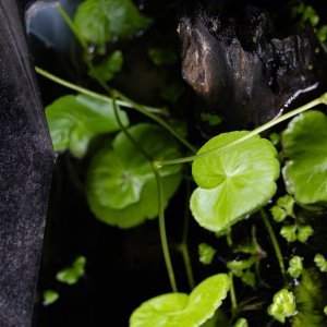 picture of the day-41.jpg