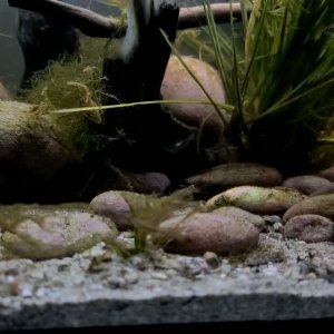 WhatsApp Video 2026-01-14 at 09.57.14.mp4