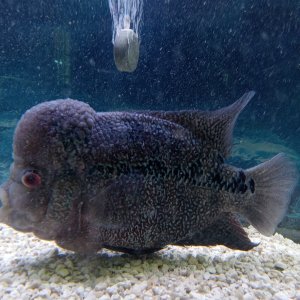 20260118_112644 - Copy (3).jpg