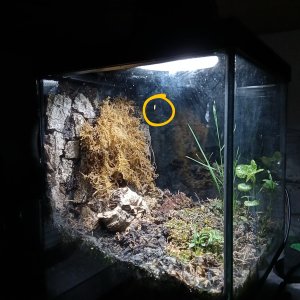 IMG_20260125_182048147 (1).jpg